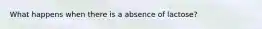 What happens when there is a absence of lactose?