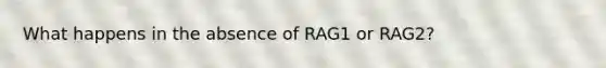 What happens in the absence of RAG1 or RAG2?