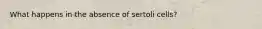 What happens in the absence of sertoli cells?