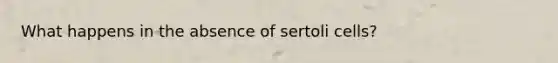 What happens in the absence of sertoli cells?