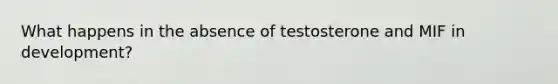 What happens in the absence of testosterone and MIF in development?