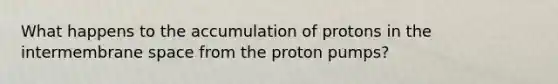 What happens to the accumulation of protons in the intermembrane space from the proton pumps?