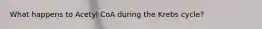 What happens to Acetyl CoA during the Krebs cycle?