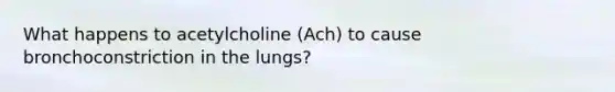 What happens to acetylcholine (Ach) to cause bronchoconstriction in the lungs?