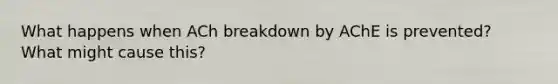 What happens when ACh breakdown by AChE is prevented? What might cause this?