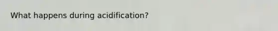 What happens during acidification?