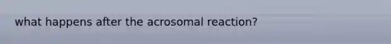 what happens after the acrosomal reaction?