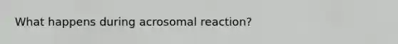 What happens during acrosomal reaction?