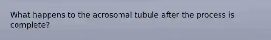 What happens to the acrosomal tubule after the process is complete?