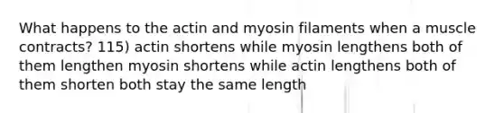 What happens to the actin and myosin filaments when a muscle contracts? 115) actin shortens while myosin lengthens both of them lengthen myosin shortens while actin lengthens both of them shorten both stay the same length