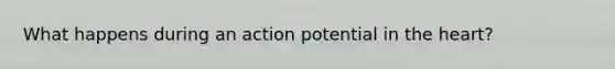 What happens during an action potential in the heart?