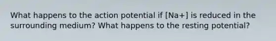 What happens to the action potential if [Na+] is reduced in the surrounding medium? What happens to the resting potential?