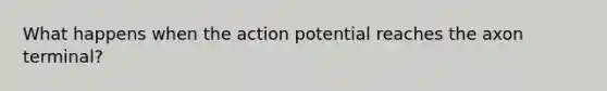 What happens when the action potential reaches the axon terminal?