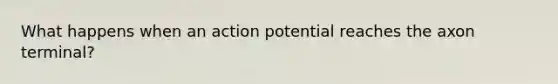 What happens when an action potential reaches the axon terminal?