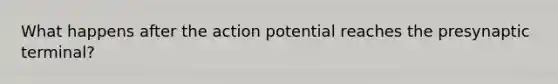 What happens after the action potential reaches the presynaptic terminal?