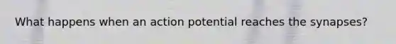 What happens when an action potential reaches the synapses?