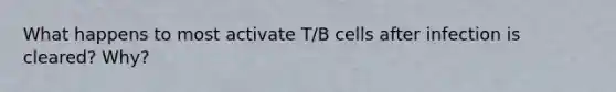 What happens to most activate T/B cells after infection is cleared? Why?