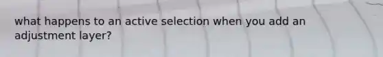 what happens to an active selection when you add an adjustment layer?