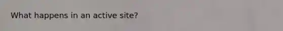 What happens in an active site?