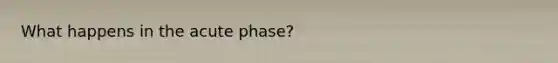 What happens in the acute phase?