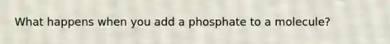 What happens when you add a phosphate to a molecule?