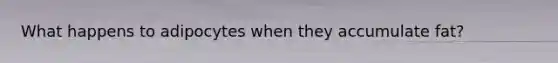 What happens to adipocytes when they accumulate fat?