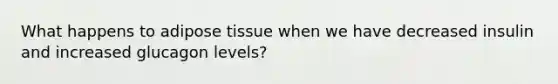 What happens to adipose tissue when we have decreased insulin and increased glucagon levels?