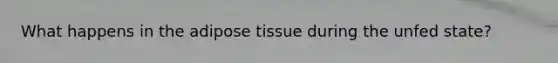 What happens in the adipose tissue during the unfed state?