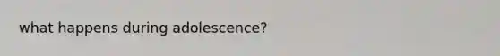 what happens during adolescence?