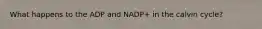 What happens to the ADP and NADP+ in the calvin cycle?