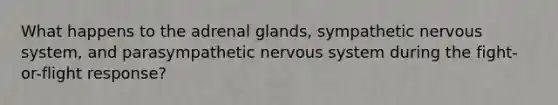 What happens to the adrenal glands, sympathetic nervous system, and parasympathetic nervous system during the fight-or-flight response?