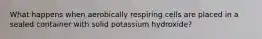 What happens when aerobically respiring cells are placed in a sealed container with solid potassium hydroxide?