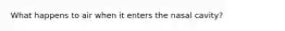What happens to air when it enters the nasal cavity?