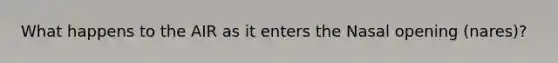 What happens to the AIR as it enters the Nasal opening (nares)?