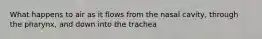 What happens to air as it flows from the nasal cavity, through the pharynx, and down into the trachea