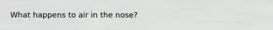 What happens to air in the nose?