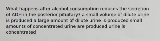 What happens after alcohol consumption reduces the secretion of ADH in the posterior pituitary? a small volume of dilute urine is produced a large amount of dilute urine is produced small amounts of concentrated urine are produced urine is concentrated