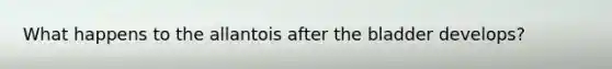 What happens to the allantois after the bladder develops?