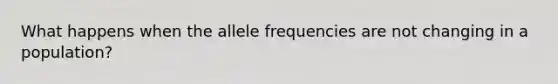 What happens when the allele frequencies are not changing in a population?