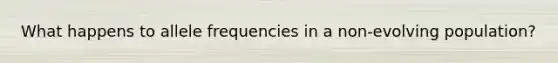 What happens to allele frequencies in a non-evolving population?