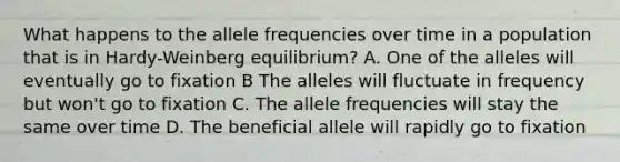 What happens to the allele frequencies over time in a population that is in Hardy-Weinberg equilibrium? A. One of the alleles will eventually go to fixation B The alleles will fluctuate in frequency but won't go to fixation C. The allele frequencies will stay the same over time D. The beneficial allele will rapidly go to fixation