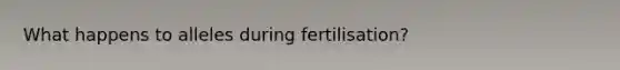 What happens to alleles during fertilisation?