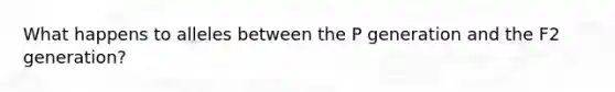 What happens to alleles between the P generation and the F2 generation?