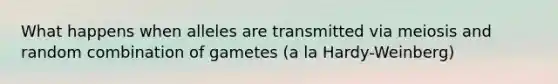 What happens when alleles are transmitted via meiosis and random combination of gametes (a la Hardy-Weinberg)