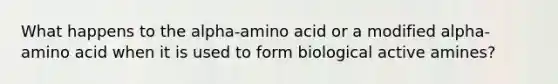 What happens to the alpha-amino acid or a modified alpha-amino acid when it is used to form biological active amines?