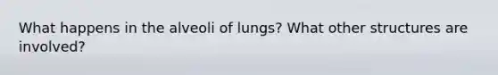 What happens in the alveoli of lungs? What other structures are involved?