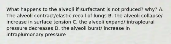 What happens to the alveoli if surfactant is not prduced? why? A. The alveoli contract/elastic recoil of lungs B. the alveoli collapse/ increase in surface tension C. the alveoli expand/ intrapleural pressure decreases D. the alveoli burst/ increase in intraplumonary pressure