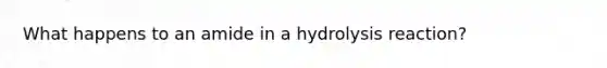 What happens to an amide in a hydrolysis reaction?