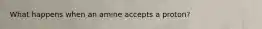 What happens when an amine accepts a proton?
