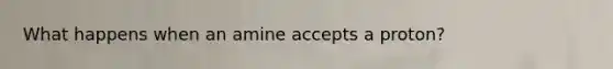 What happens when an amine accepts a proton?